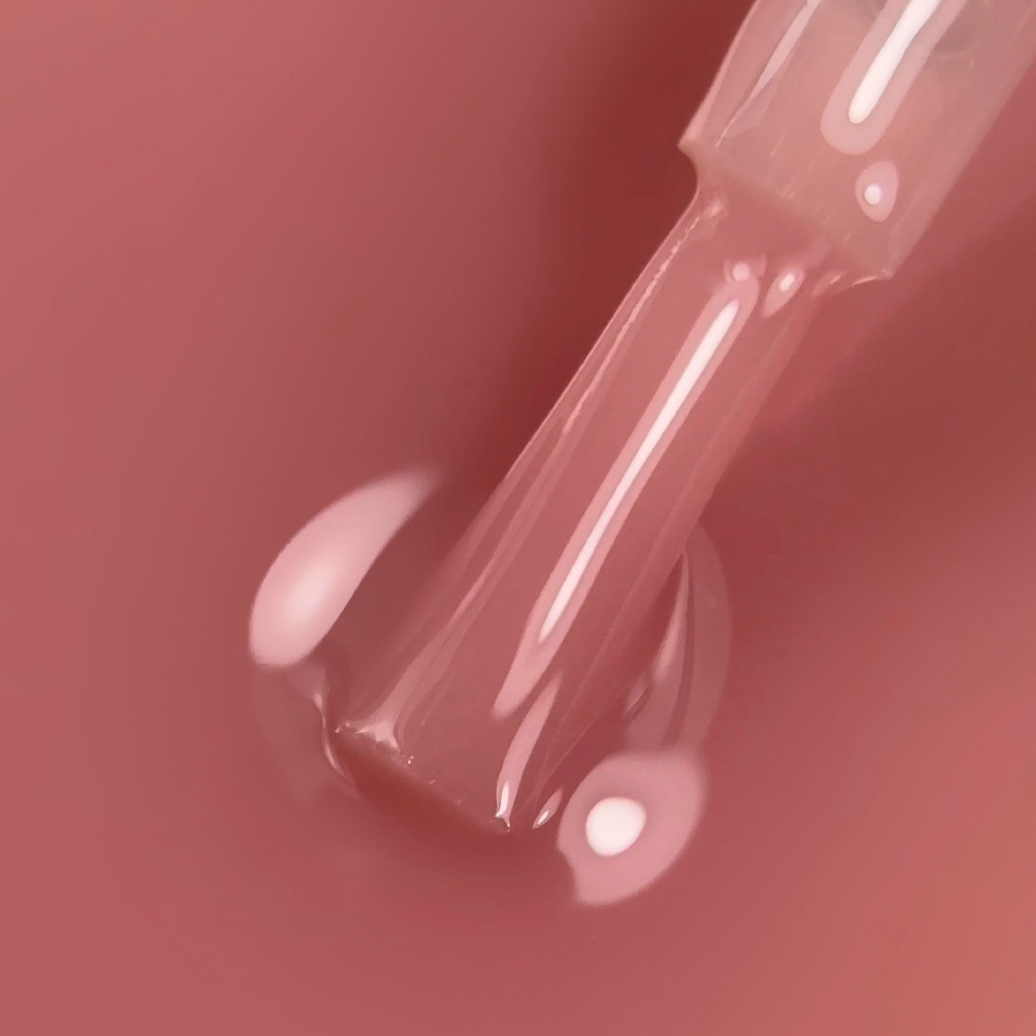 BIBLIOTEKA | Top Color Glossy Shade 10 ml